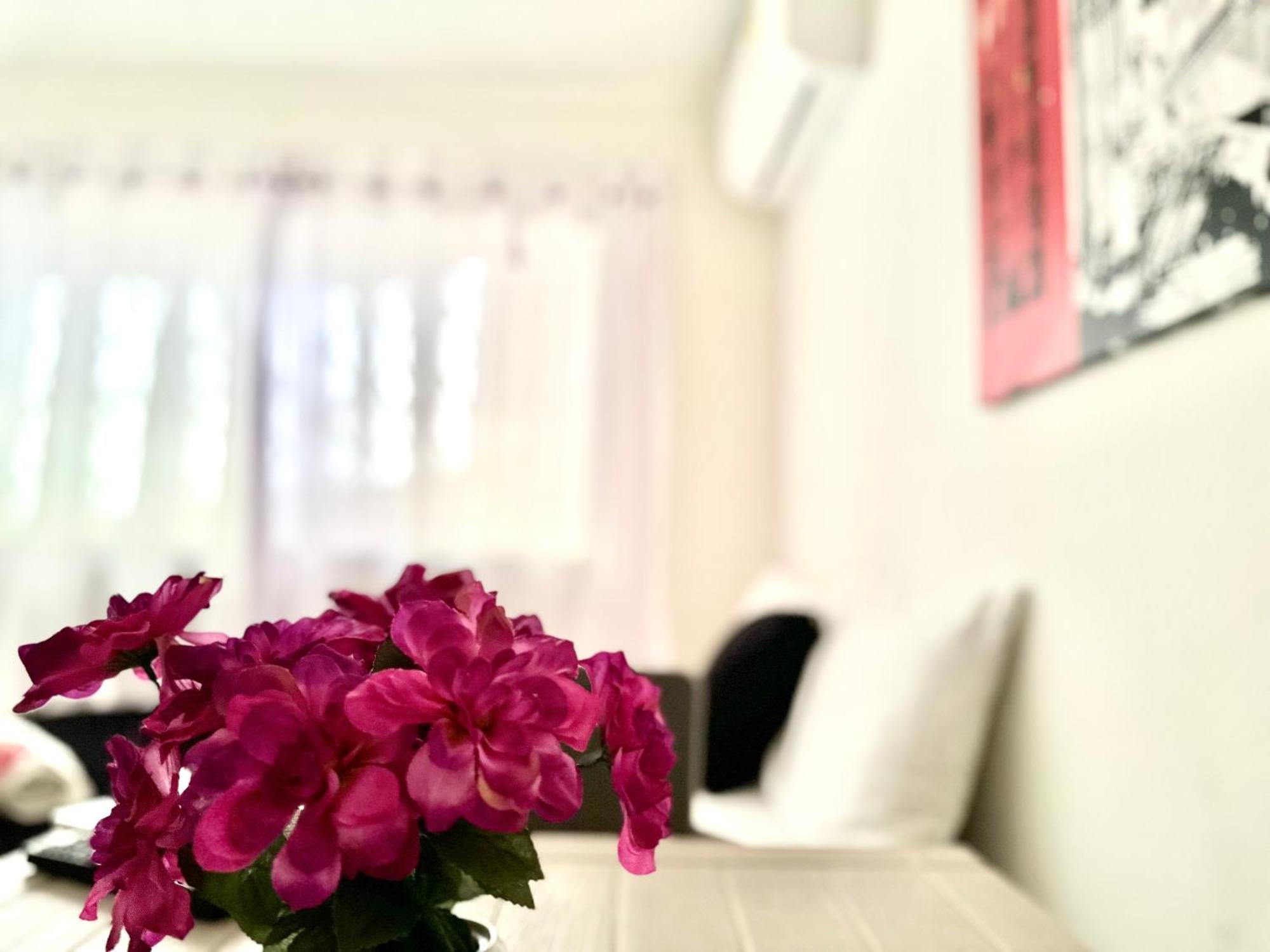 Casa Aldana Guest house *