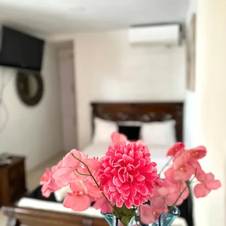Pensión Casa Aldana Cartagena
